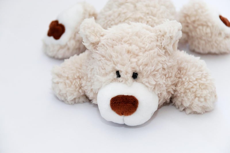 Sustainable Toys